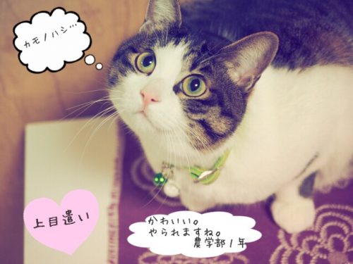 Image uploaded from iOS (27)