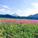 【大学生のうちに行きたい!】鹿児島のおすすめ絶景スポット4選!