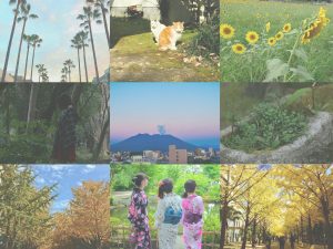 思わず写真を撮りたくなる!鹿大の撮影スポット5選!【おまけあり◎】