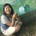 教育学部にいつの間にか「うずら」が住んでる小屋ができた?!