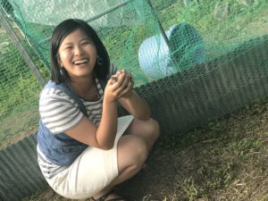 教育学部にいつの間にか「うずら」が住んでる小屋ができた？！