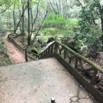 [必見!!]鹿大2年女子がオススメする！一味違う休日の過ごし方