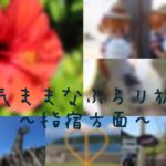 【指宿の魅力発見!】INFO女子の自由気ままなぶらり旅~指宿方面~