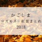 【コスモス・紅葉】鹿児島の"秋"を感じるスポットまとめ