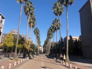 2020年1月1日から鹿児島大学は変わります。