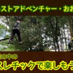 【鹿児島レジャー】大自然の中のアスレチック施設にいってみた【フォレストアドベンチャーおおすみ】
