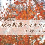 【えびの高原】秋の紅葉ハイキングに行ってみた