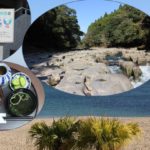 [鹿大女子おすすめ！]志布志１日ドライブ旅