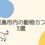 【癒されたい!】鹿児島市内の動物カフェ3選【猫カフェ】【うさぎカフェ】